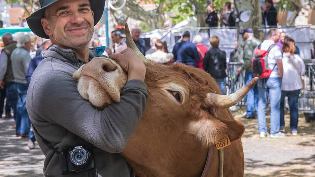 Festa de la cria a Vinça